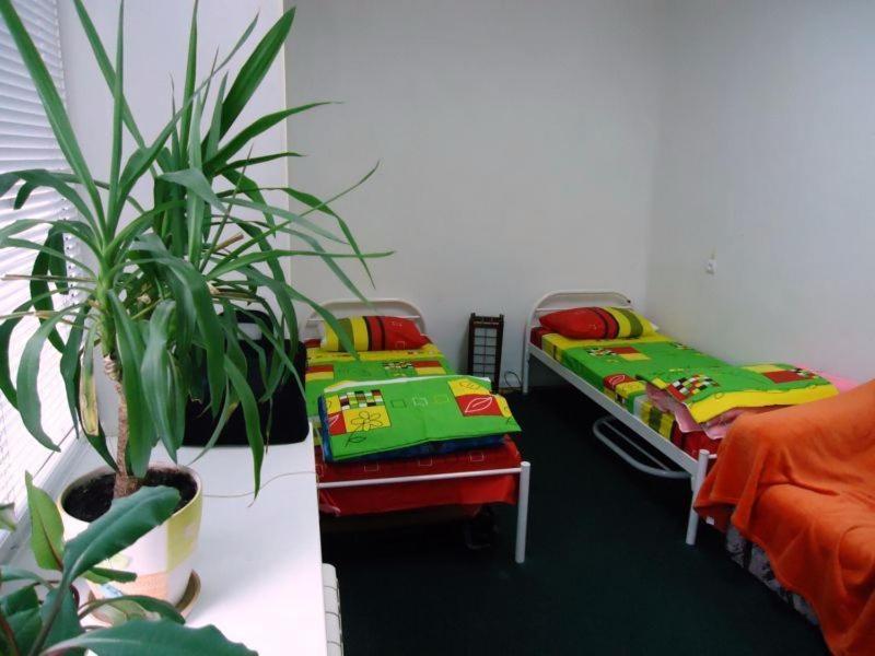 Hostel Kreshatik Kiev Room photo